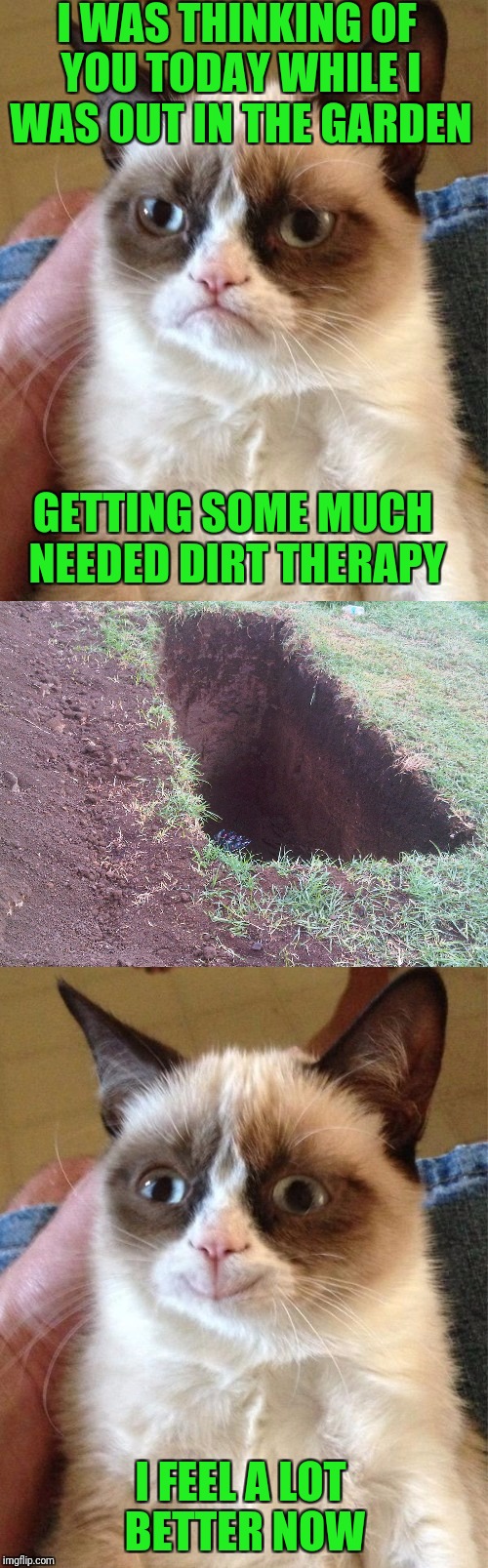 Gardening... It's Cheaper Than Therapy | I WAS THINKING OF YOU TODAY WHILE I WAS OUT IN THE GARDEN; GETTING SOME MUCH NEEDED DIRT THERAPY; I FEEL A LOT BETTER NOW | image tagged in grumpy cat,memes,gardening,dirt therapy | made w/ Imgflip meme maker