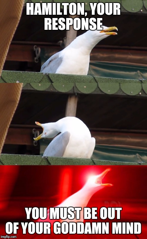 Inhaling seagull | HAMILTON, YOUR RESPONSE; YOU MUST BE OUT OF YOUR GODDAMN MIND | image tagged in inhaling seagull | made w/ Imgflip meme maker