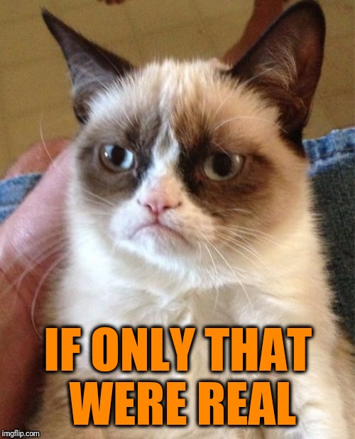 Grumpy Cat Meme | IF ONLY THAT WERE REAL | image tagged in memes,grumpy cat | made w/ Imgflip meme maker