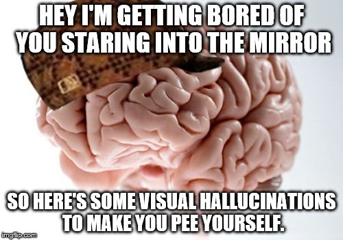 Why you see Bloody Mary. | HEY I'M GETTING BORED OF YOU STARING INTO THE MIRROR; SO HERE'S SOME VISUAL HALLUCINATIONS TO MAKE YOU PEE YOURSELF. | image tagged in memes,scumbag brain,science | made w/ Imgflip meme maker