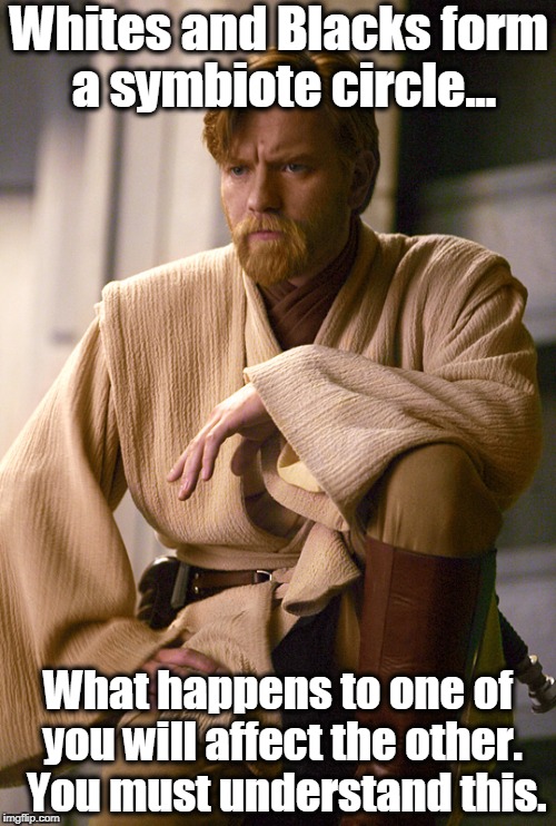 Obi Wan Kenobi | Whites and Blacks form a symbiote circle... What happens to one of you will affect the other.  You must understand this. | image tagged in obi wan kenobi,star wars,racism,white people,black lives matter,segregation | made w/ Imgflip meme maker