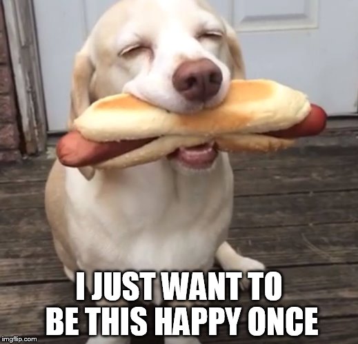 I just want to be this happy once | I JUST WANT TO BE THIS HAPPY ONCE | image tagged in dogs | made w/ Imgflip meme maker