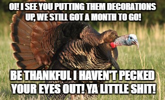 OI! I SEE YOU PUTTING THEM DECORATIONS UP, WE STILL GOT A MONTH TO GO! BE THANKFUL I HAVEN'T PECKED YOUR EYES OUT! YA LITTLE SHIT! | image tagged in turkey-calling | made w/ Imgflip meme maker