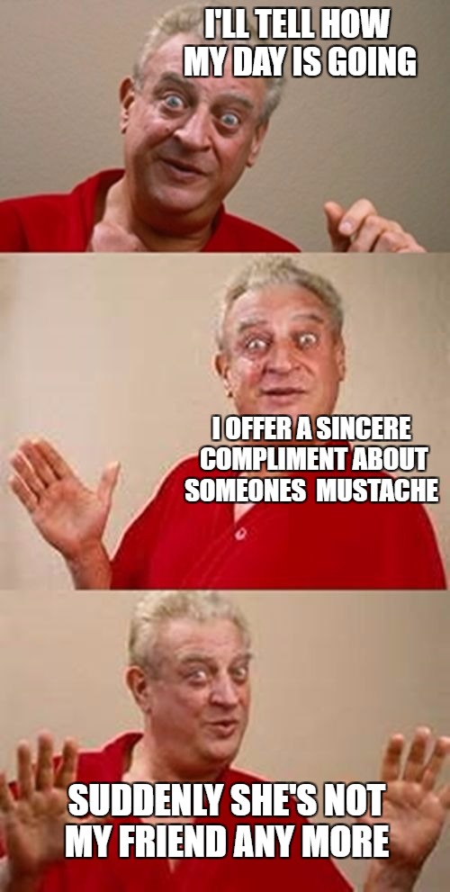 losing friends | I'LL TELL HOW MY DAY IS GOING; I OFFER A SINCERE COMPLIMENT ABOUT SOMEONES  MUSTACHE; SUDDENLY SHE'S NOT MY FRIEND ANY MORE | image tagged in meme,funny | made w/ Imgflip meme maker