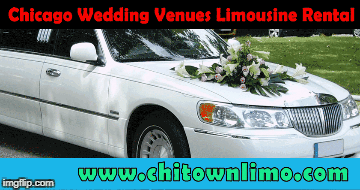 Chicago Wedding Limos rental service  | image tagged in gifs | made w/ Imgflip images-to-gif maker