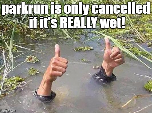 flood no worries | parkrun is only cancelled if it's REALLY wet! | image tagged in flood no worries,parkrun | made w/ Imgflip meme maker