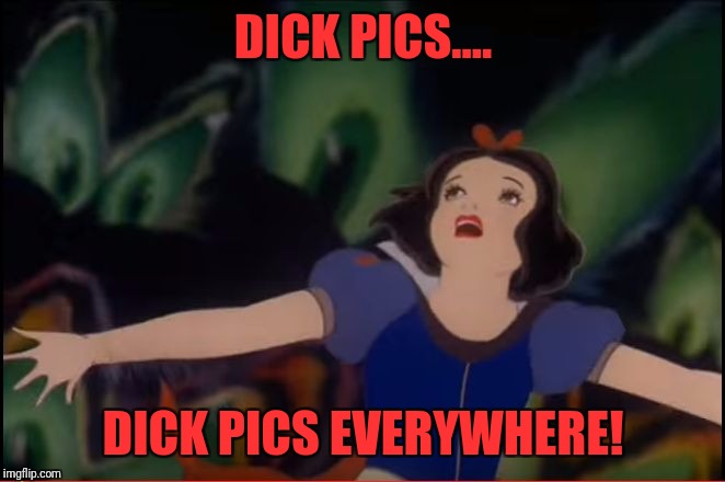 Snow White Arms | DICK PICS.... DICK PICS EVERYWHERE! | image tagged in snow white arms | made w/ Imgflip meme maker