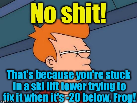 Futurama Fry Meme | No shit! That's because you're stuck in a ski lift tower trying to fix it when it's -20 below, Frog! | image tagged in memes,futurama fry | made w/ Imgflip meme maker