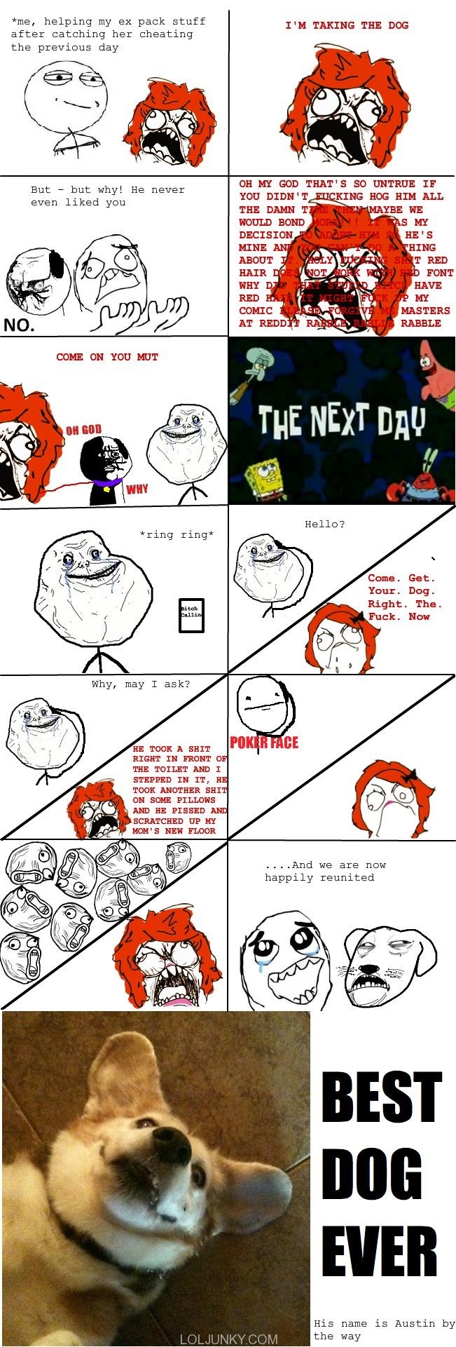 image tagged in rage comics,dogs