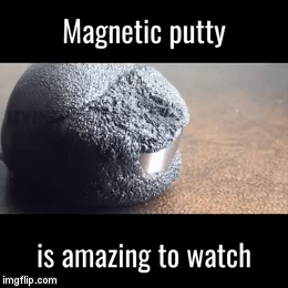 Really | image tagged in gifs | made w/ Imgflip video-to-gif maker