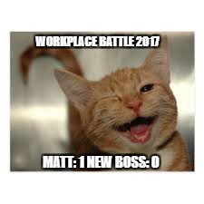Workplace Battle | WORKPLACE BATTLE 2017; MATT: 1
NEW BOSS: 0 | image tagged in work,battle,cat,kitten | made w/ Imgflip meme maker