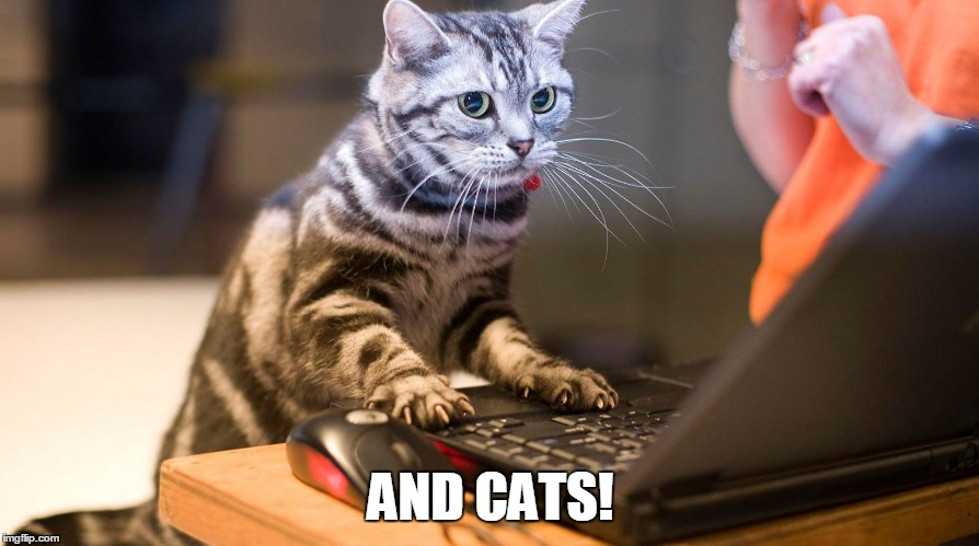 AND CATS! | made w/ Imgflip meme maker