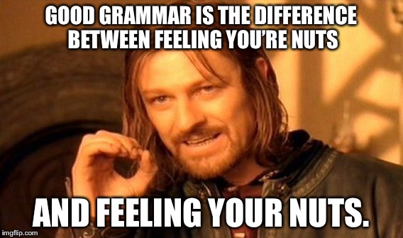 One Does Not Simply Meme | GOOD GRAMMAR IS THE DIFFERENCE BETWEEN FEELING YOU’RE NUTS AND FEELING YOUR NUTS. | image tagged in memes,one does not simply | made w/ Imgflip meme maker