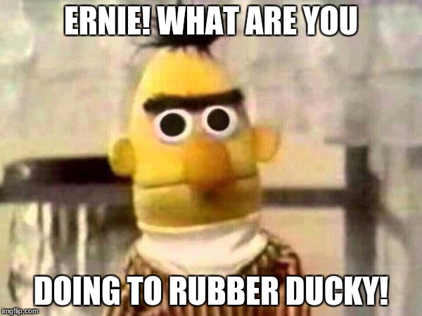 Sesame Street Bert | ERNIE! WHAT ARE YOU; DOING TO RUBBER DUCKY! | image tagged in sesame street bert | made w/ Imgflip meme maker