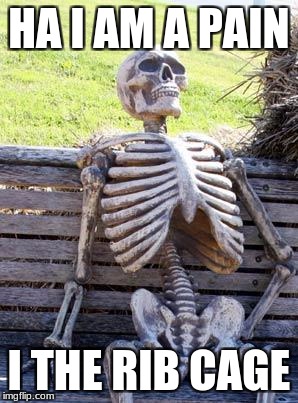 Waiting Skeleton Meme | HA I AM A PAIN; I THE RIB CAGE | image tagged in memes,waiting skeleton | made w/ Imgflip meme maker