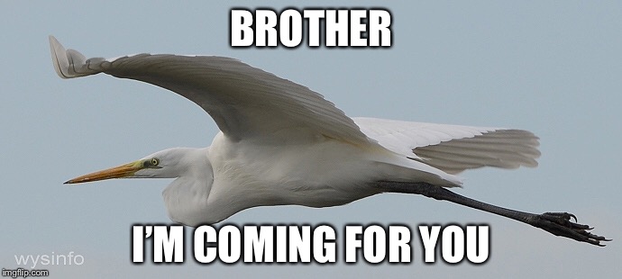 BROTHER I’M COMING FOR YOU | made w/ Imgflip meme maker