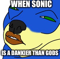 Sonic let himself go | WHEN SONIC; IS A DANKIER THAN GODS | image tagged in sonic,dank | made w/ Imgflip meme maker