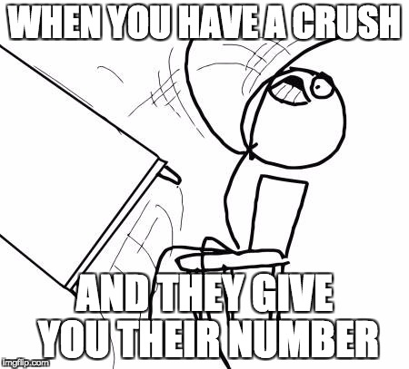 Table Flip Guy Meme | WHEN YOU HAVE A CRUSH; AND THEY GIVE YOU THEIR NUMBER | image tagged in memes,table flip guy | made w/ Imgflip meme maker