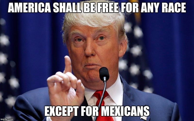 Donald Trump | AMERICA SHALL BE FREE FOR ANY RACE; EXCEPT FOR MEXICANS | image tagged in donald trump | made w/ Imgflip meme maker