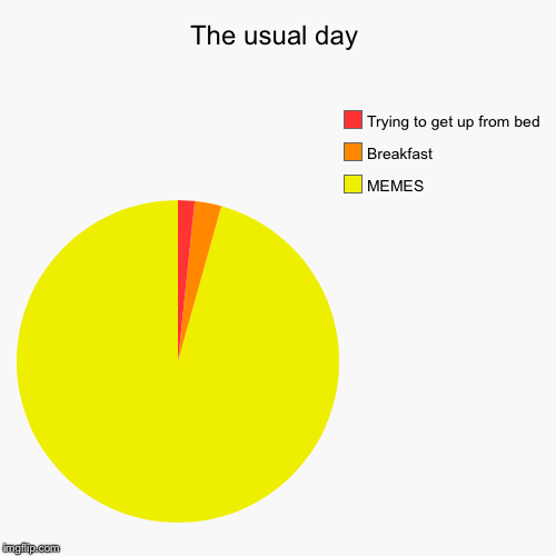 image tagged in funny,pie charts | made w/ Imgflip chart maker