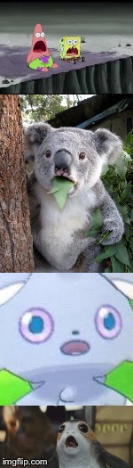 image tagged in surprised patrick,surprised koala,espurr | made w/ Imgflip meme maker