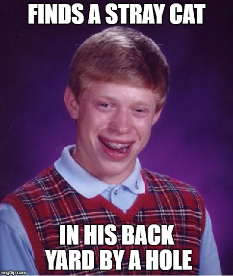 Bad Luck Brian Meme | FINDS A STRAY CAT IN HIS BACK YARD BY A HOLE | image tagged in memes,bad luck brian | made w/ Imgflip meme maker