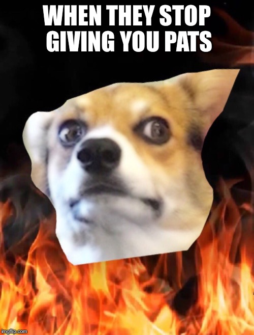 WHEN THEY STOP GIVING YOU PATS | image tagged in alyx | made w/ Imgflip meme maker