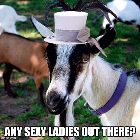 Rich Goat | ANY SEXY LADIES OUT THERE? | image tagged in sexy,dating,rich | made w/ Imgflip meme maker