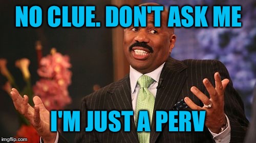 Steve Harvey Meme | NO CLUE. DON'T ASK ME I'M JUST A PERV | image tagged in memes,steve harvey | made w/ Imgflip meme maker