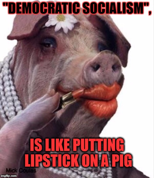 Lipstick on a pig | "DEMOCRATIC SOCIALISM", IS LIKE PUTTING LIPSTICK ON A PIG | image tagged in lipstick on a pig | made w/ Imgflip meme maker