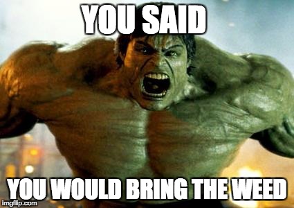 hulk | YOU SAID; YOU WOULD BRING THE WEED | image tagged in hulk | made w/ Imgflip meme maker