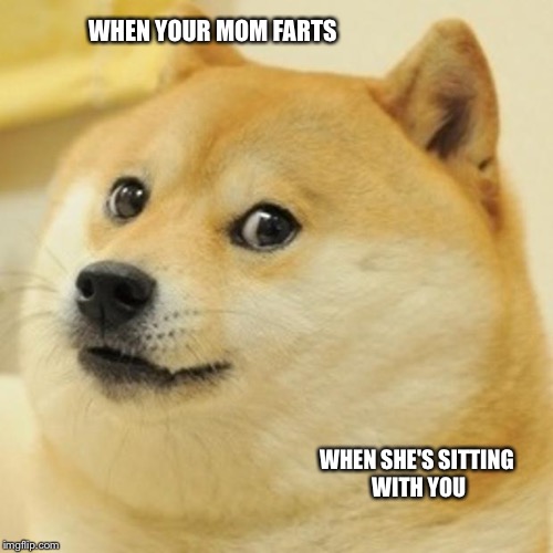 Doge | WHEN YOUR MOM FARTS; WHEN SHE'S SITTING WITH YOU | image tagged in memes,doge | made w/ Imgflip meme maker
