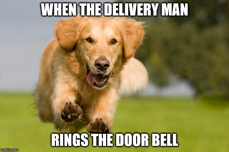 WHEN THE DELIVERY MAN; RINGS THE DOOR BELL | image tagged in happy dog | made w/ Imgflip meme maker