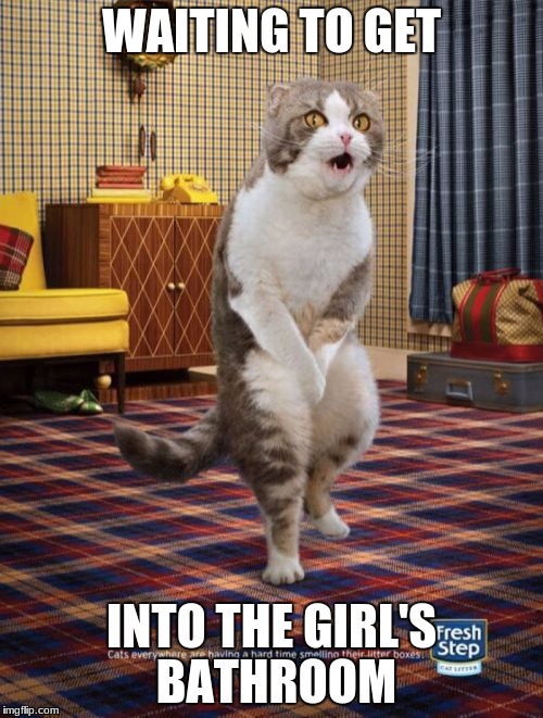 Gotta Go Cat Meme | WAITING TO GET; INTO THE GIRL'S BATHROOM | image tagged in memes,gotta go cat | made w/ Imgflip meme maker