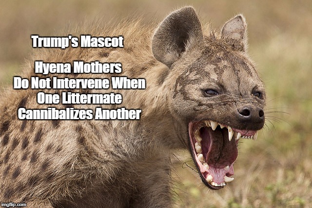 Trump's Mascot Hyena Mothers Do Not Intervene When One Littermate Cannibalizes Another | made w/ Imgflip meme maker