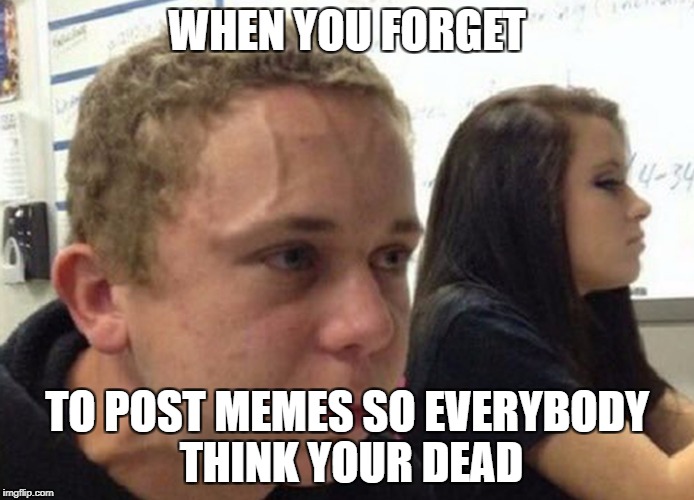 When you haven't.. | WHEN YOU FORGET; TO POST MEMES SO EVERYBODY THINK YOUR DEAD | image tagged in when you haven't | made w/ Imgflip meme maker