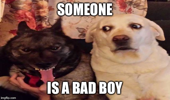 SOMEONE IS A BAD BOY | made w/ Imgflip meme maker