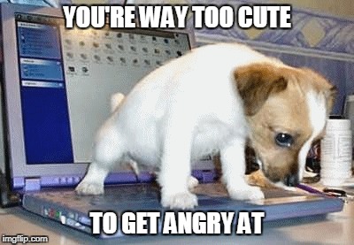 YOU'RE WAY TOO CUTE TO GET ANGRY AT | made w/ Imgflip meme maker