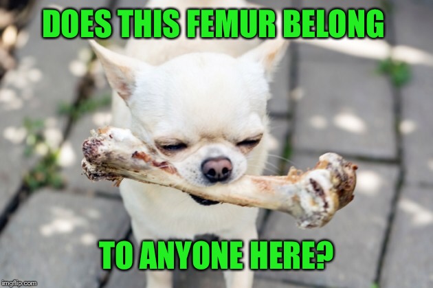 DOES THIS FEMUR BELONG TO ANYONE HERE? | made w/ Imgflip meme maker