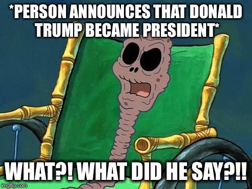 What Did He Say Spongebob Meme | *PERSON ANNOUNCES THAT DONALD TRUMP BECAME PRESIDENT*; WHAT?! WHAT DID HE SAY?!! | image tagged in what did he say spongebob meme | made w/ Imgflip meme maker