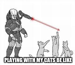 Predator catsits | PLAYING WITH MY CATS BE LIKE | image tagged in predator,cats,memes | made w/ Imgflip meme maker