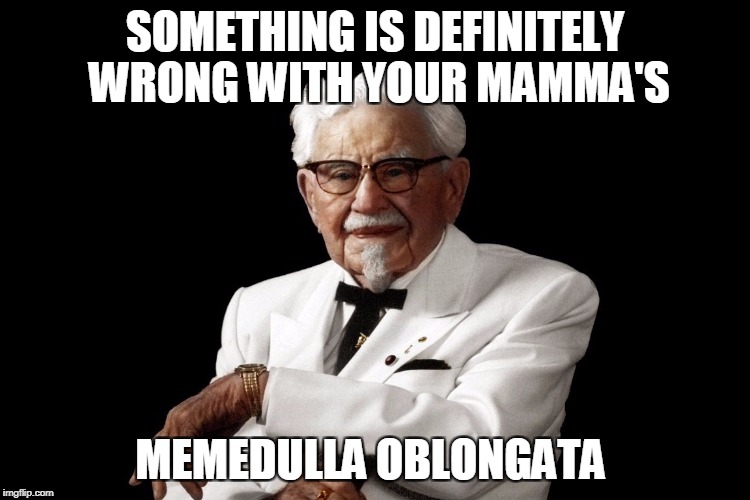 SOMETHING IS DEFINITELY WRONG WITH YOUR MAMMA'S MEMEDULLA OBLONGATA | made w/ Imgflip meme maker