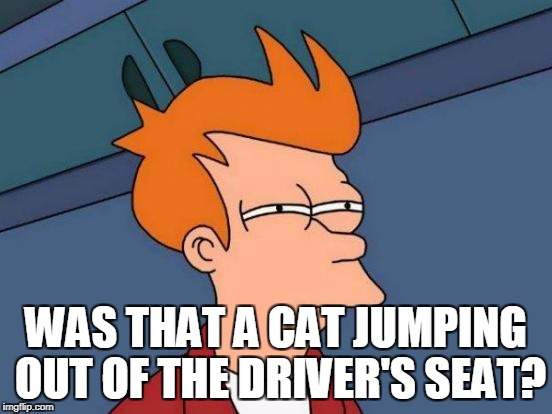 Futurama Fry Meme | WAS THAT A CAT JUMPING OUT OF THE DRIVER'S SEAT? | image tagged in memes,futurama fry | made w/ Imgflip meme maker