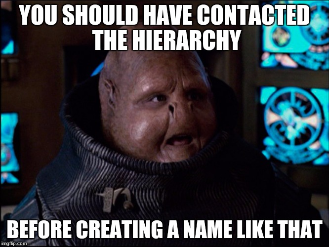 Overlooker Meme | YOU SHOULD HAVE CONTACTED THE HIERARCHY BEFORE CREATING A NAME LIKE THAT | image tagged in overlooker meme | made w/ Imgflip meme maker