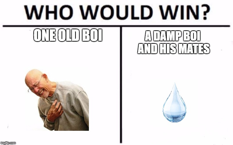 Who Would Win? Meme | A DAMP BOI AND HIS MATES; ONE OLD BOI | image tagged in who would win | made w/ Imgflip meme maker