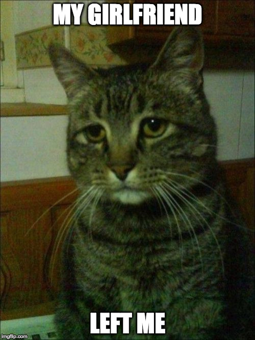 Depressed Cat | MY GIRLFRIEND; LEFT ME | image tagged in memes,depressed cat | made w/ Imgflip meme maker