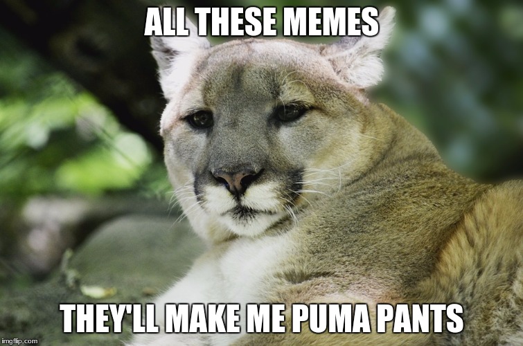 Puma Pants meme | ALL THESE MEMES; THEY'LL MAKE ME PUMA PANTS | image tagged in puma pants memes | made w/ Imgflip meme maker