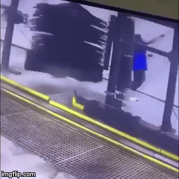 1y8vgi.gif