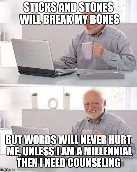 Hide the Pain Harold | STICKS AND STONES WILL BREAK MY BONES; BUT WORDS WILL NEVER HURT ME, UNLESS I AM A MILLENNIAL THEN I NEED COUNSELING | image tagged in memes,hide the pain harold | made w/ Imgflip meme maker