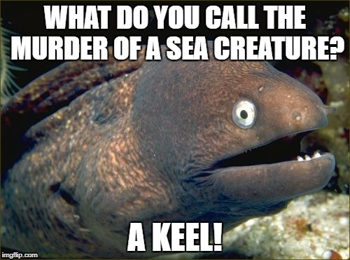 Bad Joke Eel Meme | WHAT DO YOU CALL THE MURDER OF A SEA CREATURE? A KEEL! | image tagged in memes,bad joke eel | made w/ Imgflip meme maker